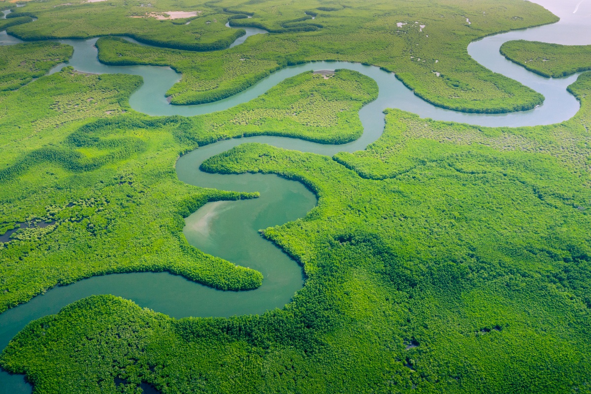 The Amazon River Ran Backward!