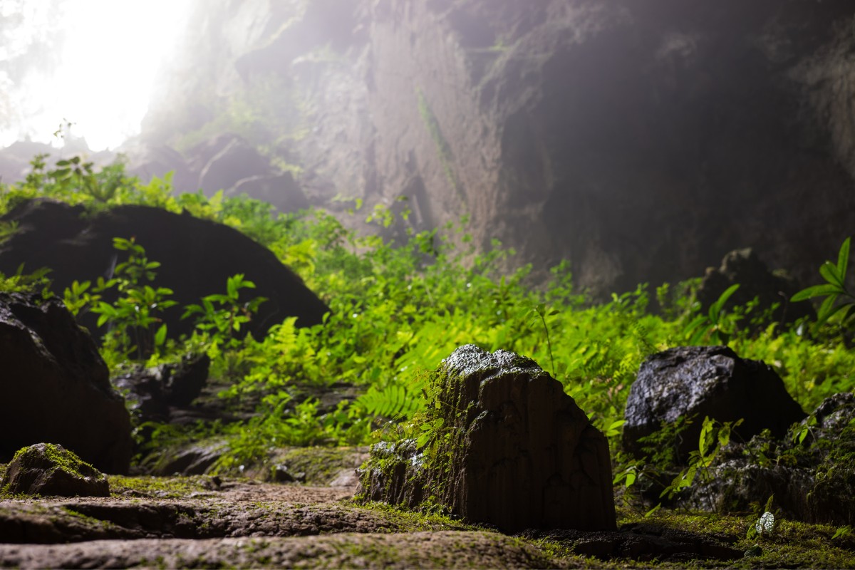 Inside the Largest Cave in the World: Hang Son Doong